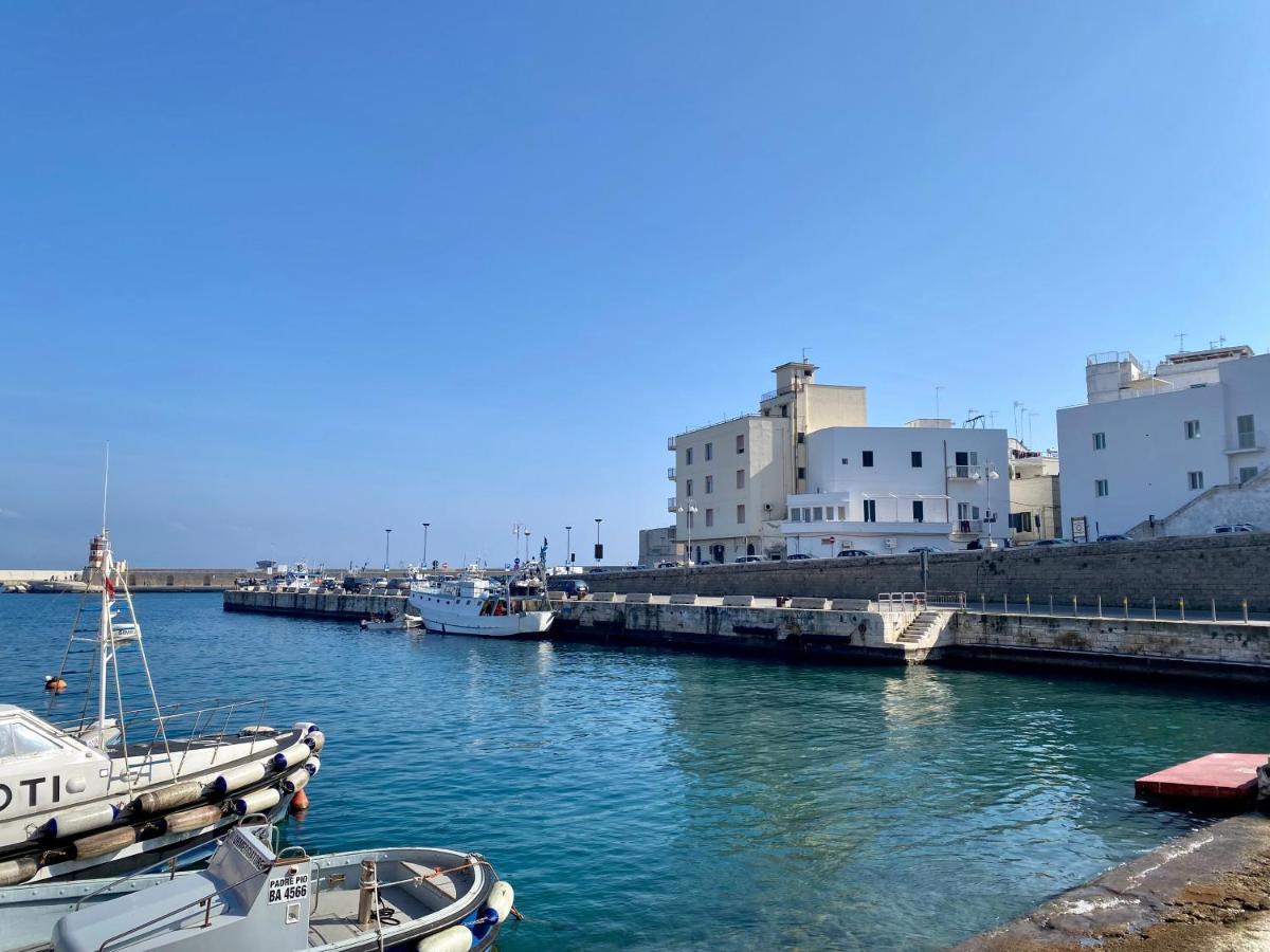 Casa Luisa - Puglia Mia Apartments مونوبولي المظهر الخارجي الصورة